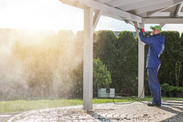 Best Gutter Cleaning  in Unionville, MO